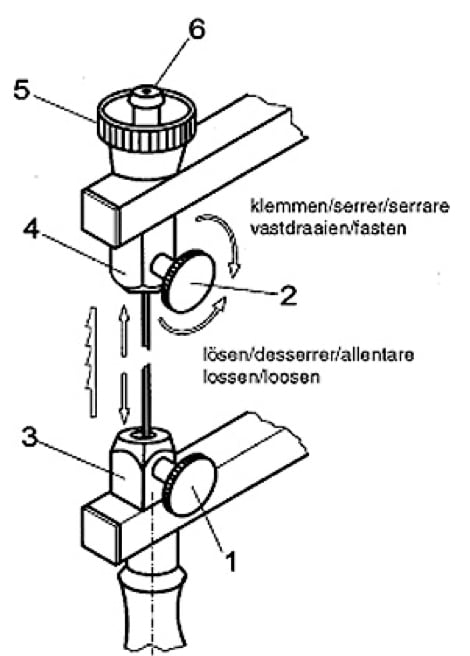 Picture5