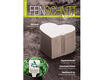 FEINSCHNITTk